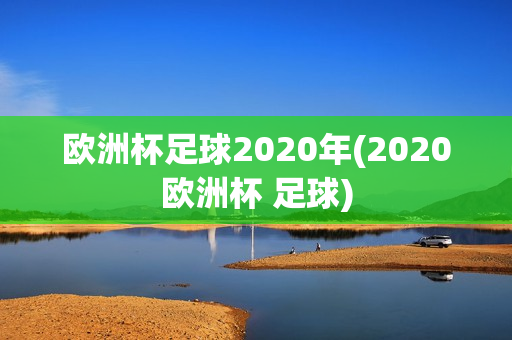 欧洲杯足球2020年(2020欧洲杯 足球)