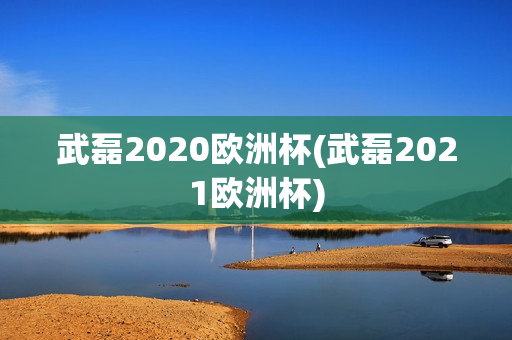 武磊2020欧洲杯(武磊2021欧洲杯)