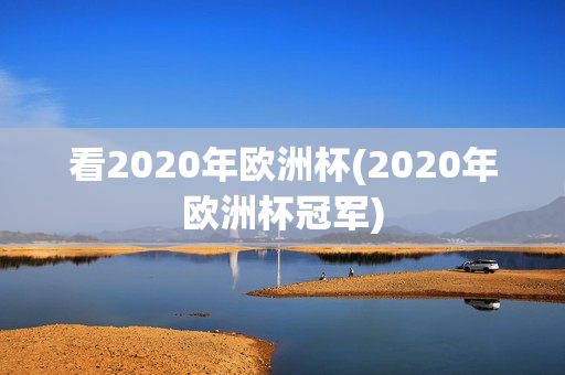 看2020年欧洲杯(2020年欧洲杯冠军)