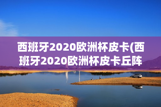 西班牙2020欧洲杯皮卡(西班牙2020欧洲杯皮卡丘阵容)