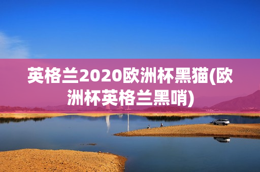 英格兰2020欧洲杯黑猫(欧洲杯英格兰黑哨)