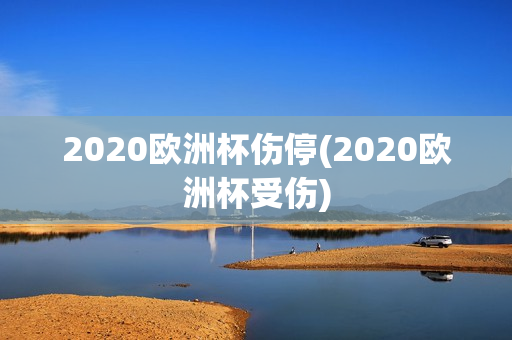 2020欧洲杯伤停(2020欧洲杯受伤)