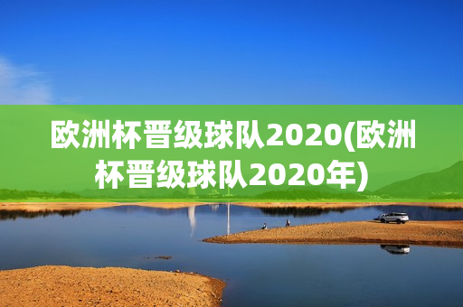 欧洲杯晋级球队2020(欧洲杯晋级球队2020年)