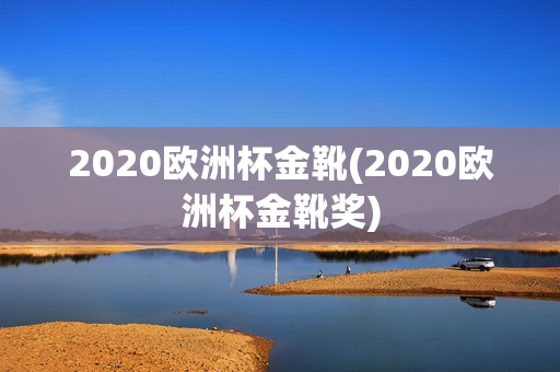 2020欧洲杯金靴(2020欧洲杯金靴奖)