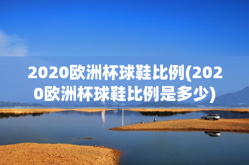 2020欧洲杯球鞋比例(2020欧洲杯球鞋比例是多少)