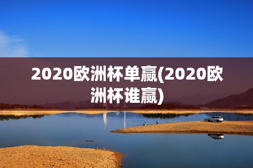 2020欧洲杯单赢(2020欧洲杯谁赢)