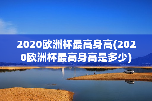 2020欧洲杯最高身高(2020欧洲杯最高身高是多少)