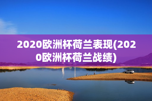 2020欧洲杯荷兰表现(2020欧洲杯荷兰战绩)