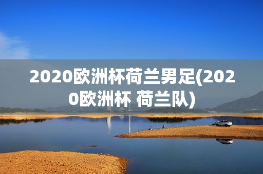 2020欧洲杯荷兰男足(2020欧洲杯 荷兰队)