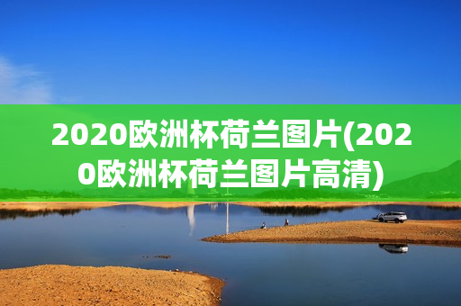 2020欧洲杯荷兰图片(2020欧洲杯荷兰图片高清)