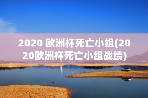 2020 欧洲杯死亡小组(2020欧洲杯死亡小组战绩)