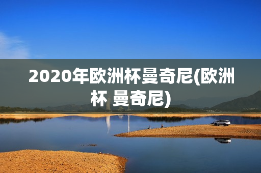 2020年欧洲杯曼奇尼(欧洲杯 曼奇尼)