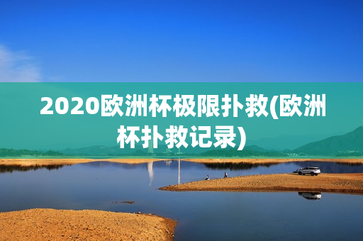 2020欧洲杯极限扑救(欧洲杯扑救记录)