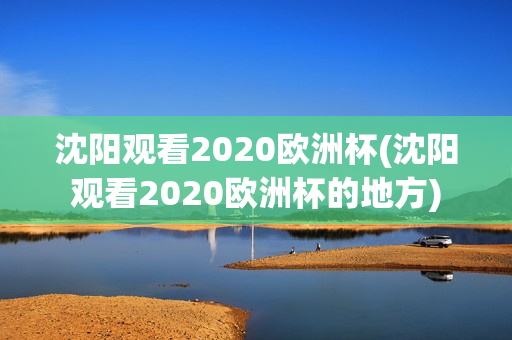 沈阳观看2020欧洲杯(沈阳观看2020欧洲杯的地方)