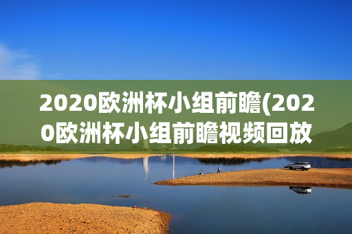 2020欧洲杯小组前瞻(2020欧洲杯小组前瞻视频回放)