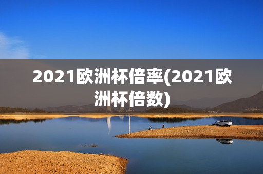 2021欧洲杯倍率(2021欧洲杯倍数)