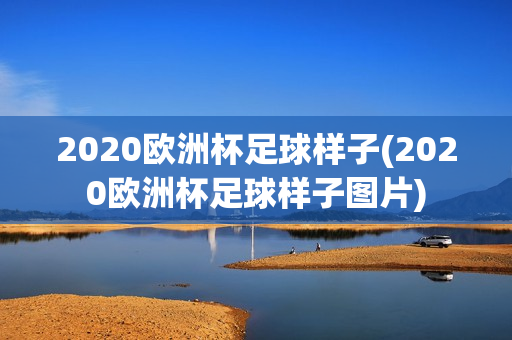 2020欧洲杯足球样子(2020欧洲杯足球样子图片)