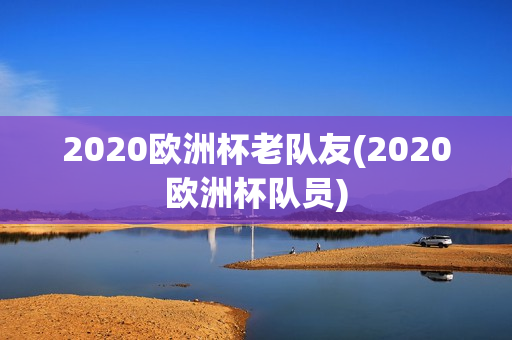 2020欧洲杯老队友(2020欧洲杯队员)