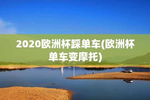 2020欧洲杯踩单车(欧洲杯单车变摩托)