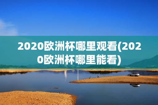 2020欧洲杯哪里观看(2020欧洲杯哪里能看)