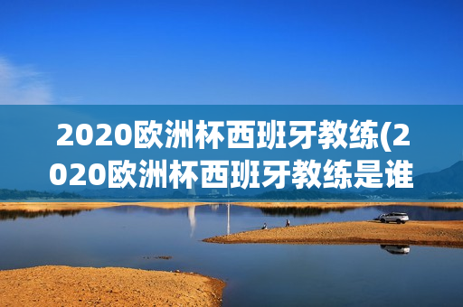 2020欧洲杯西班牙教练(2020欧洲杯西班牙教练是谁)