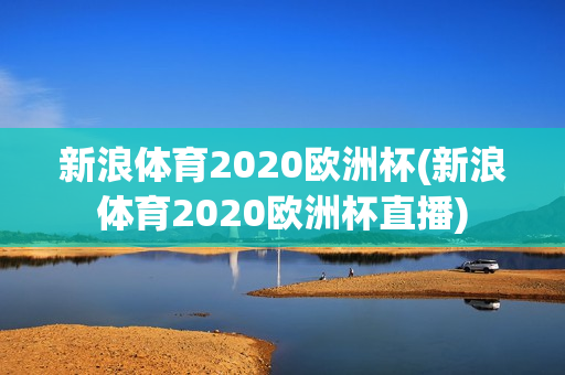 新浪体育2020欧洲杯(新浪体育2020欧洲杯直播)