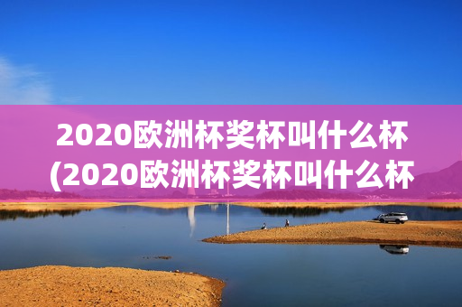 2020欧洲杯奖杯叫什么杯(2020欧洲杯奖杯叫什么杯子)