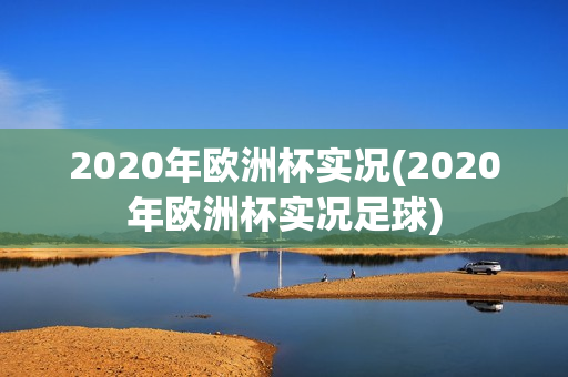 2020年欧洲杯实况(2020年欧洲杯实况足球)