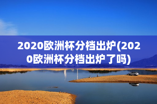 2020欧洲杯分档出炉(2020欧洲杯分档出炉了吗)