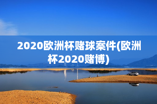 2020欧洲杯赌球案件(欧洲杯2020赌博)