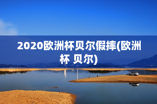 2020欧洲杯贝尔假摔(欧洲杯 贝尔)