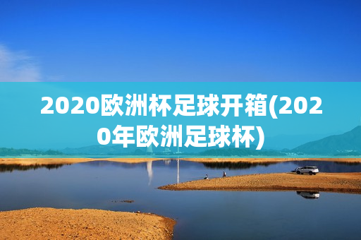 2020欧洲杯足球开箱(2020年欧洲足球杯)