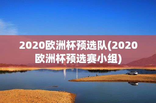 2020欧洲杯预选队(2020欧洲杯预选赛小组)