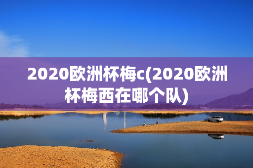 2020欧洲杯梅c(2020欧洲杯梅西在哪个队)