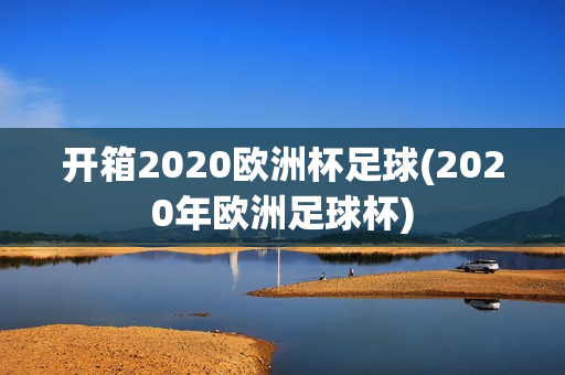 开箱2020欧洲杯足球(2020年欧洲足球杯)