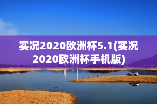 实况2020欧洲杯5.1(实况2020欧洲杯手机版)