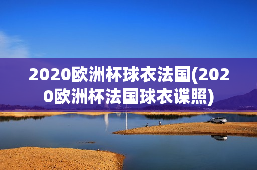 2020欧洲杯球衣法国(2020欧洲杯法国球衣谍照)