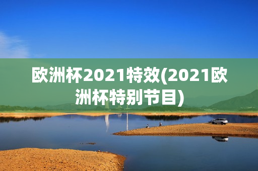 欧洲杯2021特效(2021欧洲杯特别节目)