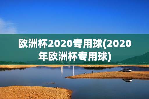 欧洲杯2020专用球(2020年欧洲杯专用球)