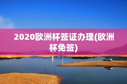 2020欧洲杯签证办理(欧洲杯免签)