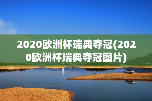 2020欧洲杯瑞典夺冠(2020欧洲杯瑞典夺冠图片)