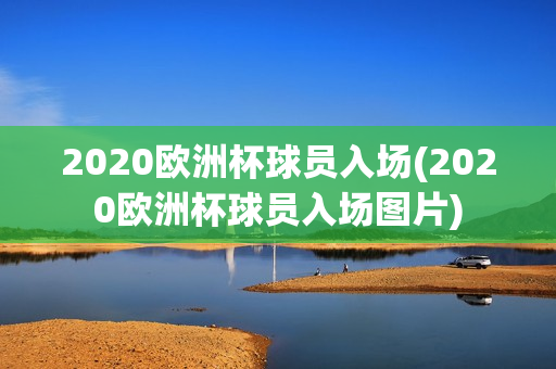 2020欧洲杯球员入场(2020欧洲杯球员入场图片)