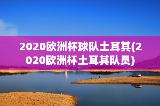 2020欧洲杯球队土耳其(2020欧洲杯土耳其队员)