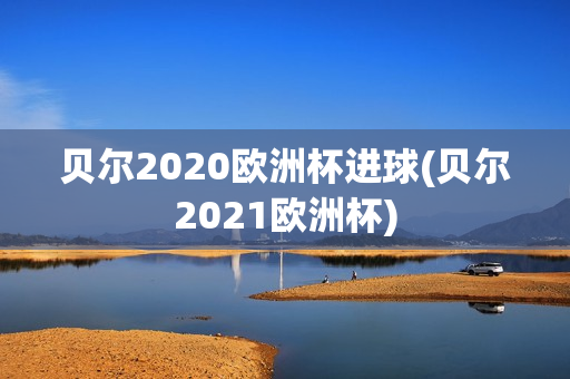 贝尔2020欧洲杯进球(贝尔2021欧洲杯)