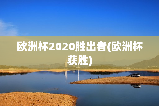 欧洲杯2020胜出者(欧洲杯获胜)