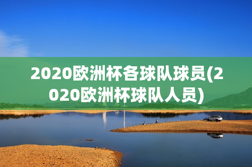 2020欧洲杯各球队球员(2020欧洲杯球队人员)