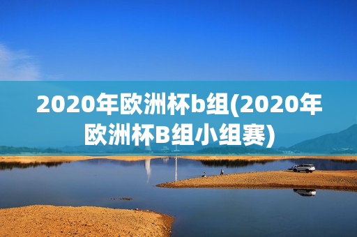 2020年欧洲杯b组(2020年欧洲杯B组小组赛)