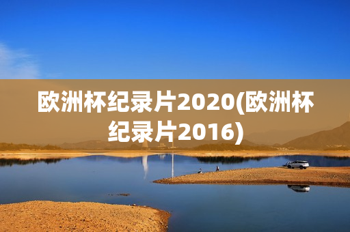 欧洲杯纪录片2020(欧洲杯纪录片2016)