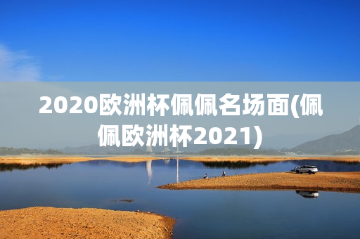 2020欧洲杯佩佩名场面(佩佩欧洲杯2021)