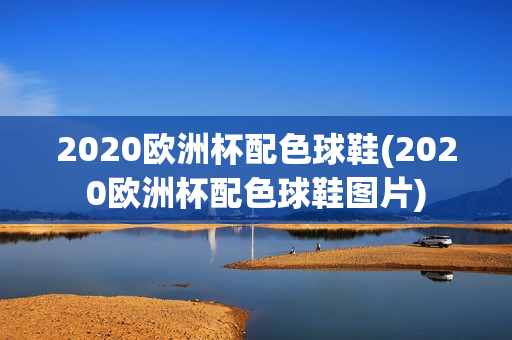 2020欧洲杯配色球鞋(2020欧洲杯配色球鞋图片)